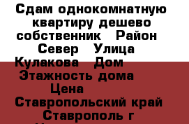 Сдам однокомнатную квартиру.дешево.собственник › Район ­ Север › Улица ­ Кулакова › Дом ­ 63/1 › Этажность дома ­ 9 › Цена ­ 6 000 - Ставропольский край, Ставрополь г. Недвижимость » Квартиры аренда   . Ставропольский край,Ставрополь г.